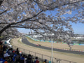 Japanese GP 2027 - F1 Experiences