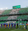 Real Betis vs Celta de Vigo