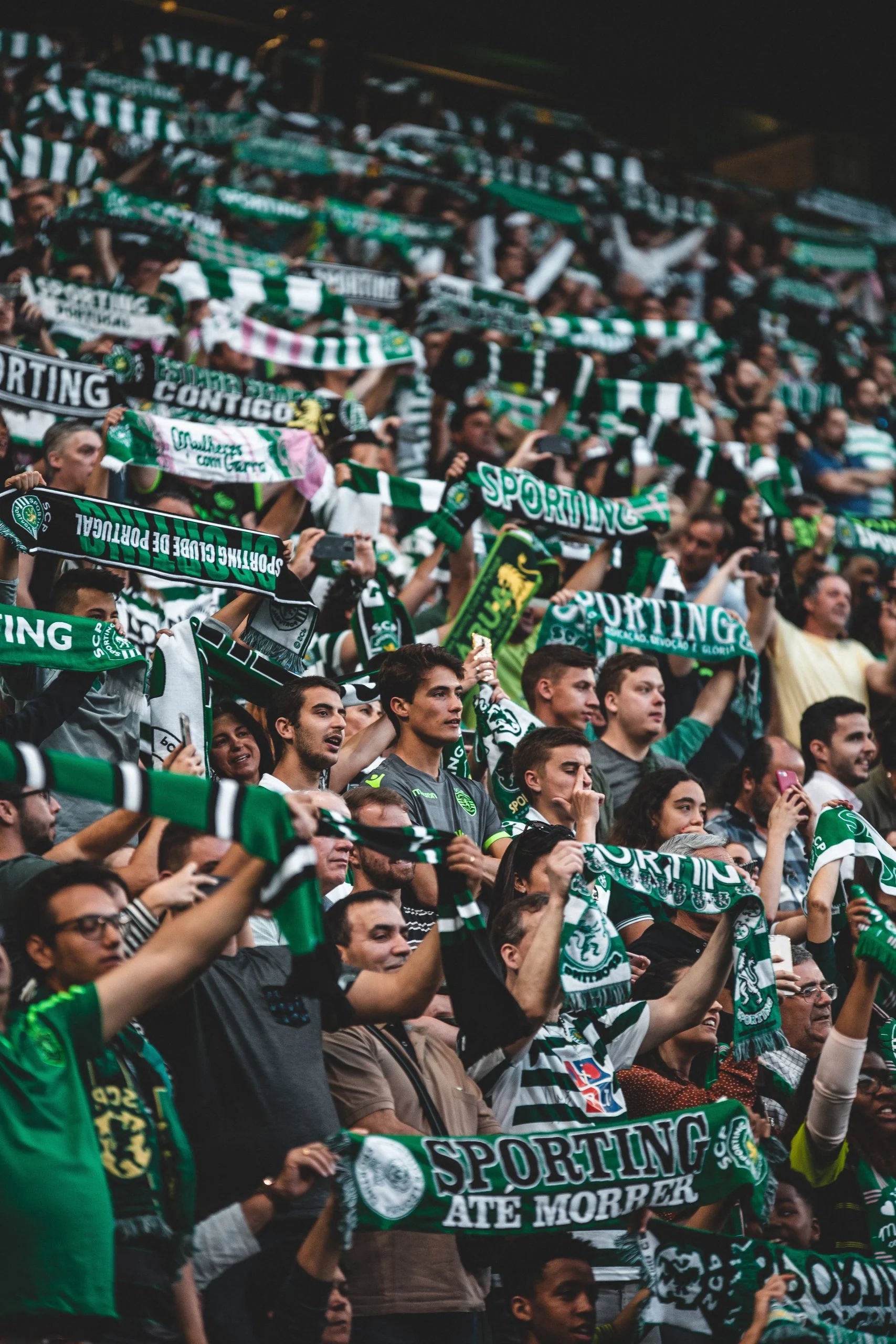 Sporting CP vs Académico de Viseu FC